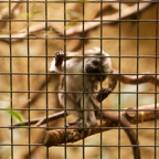 20150506_162649_39907.jpg