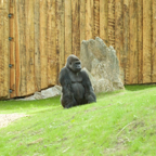 20150506_163733_39927.jpg