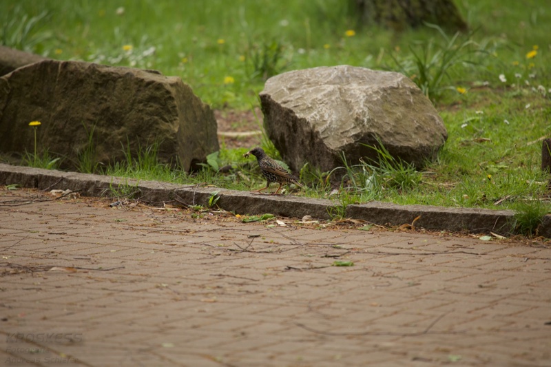 20150506_164435_39945.jpg