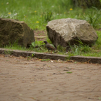 20150506_164435_39945.jpg