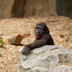 20150506_164616_39957.jpg