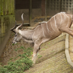 20150506_165322_39984.jpg