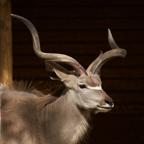 20150506_165416_39988.jpg