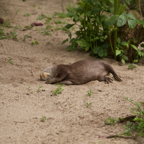 20150506_172603_40007.jpg