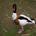 20150506_173115_40029.jpg
