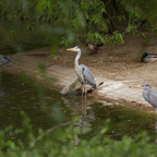 20150506_173144_40031.jpg