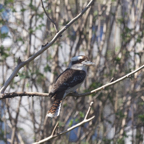 20140309_130411_12260.jpg