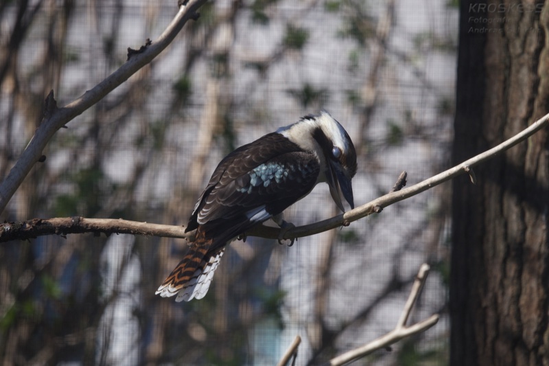20140309_130502_12266.jpg
