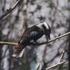 20140309_130502_12266.jpg
