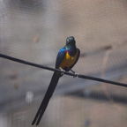20140309_130909_12284.jpg