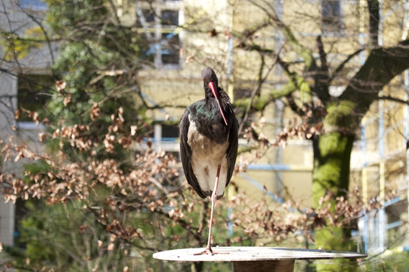 20140309_131802_12300.jpg