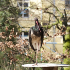 20140309_131802_12300.jpg