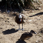 20140309_134015_12329.jpg