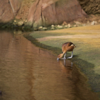 20140309_134620_12341.jpg