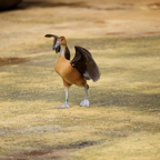 20140309_134624_12343.jpg