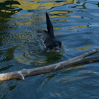 20140309_150513_12467.jpg