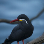 20140309_150616_12476.jpg