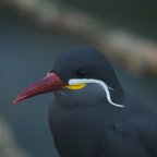 20140309_150655_12482.jpg