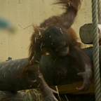 20140309_154055_12527.jpg