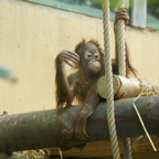 20140309_154100_12530.jpg