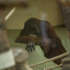 20140309_154123_12531.jpg