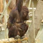 20140309_154537_12552.jpg