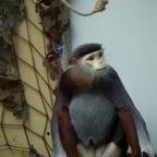 20140309_155933_12573.jpg