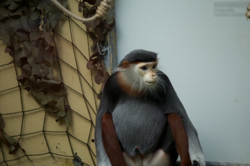20140309_155938_12577.jpg