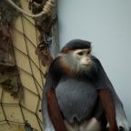 20140309_155938_12577.jpg