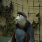 20140309_160112_12596.jpg