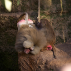 20140309_161614_12617.jpg