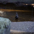 20140309_164555_12633.jpg