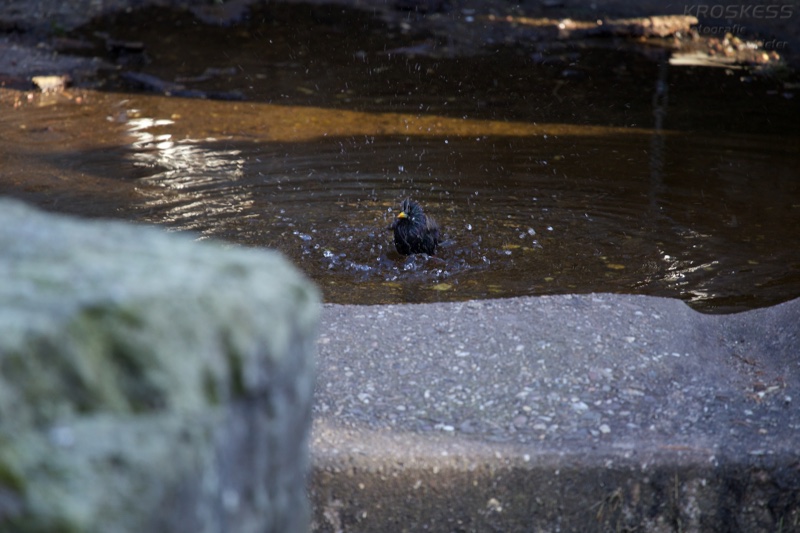 20140309_164556_12634.jpg