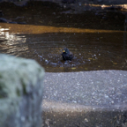 20140309_164556_12634.jpg