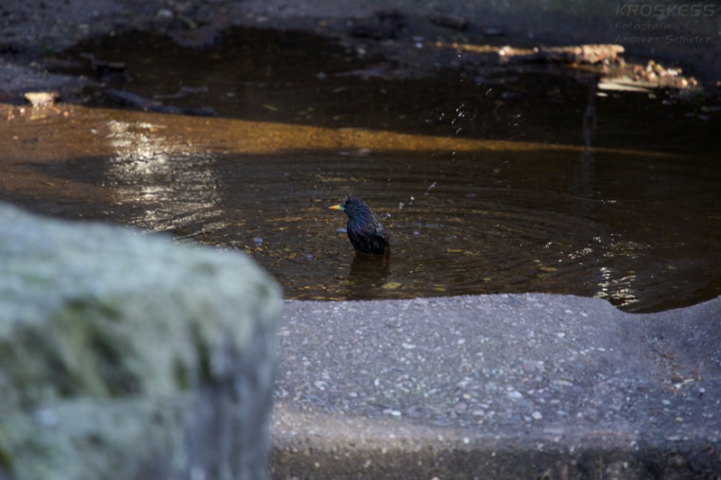 20140309_164558_12635.jpg
