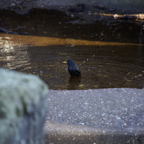 20140309_164558_12635.jpg