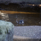 20140309_164558_12636.jpg